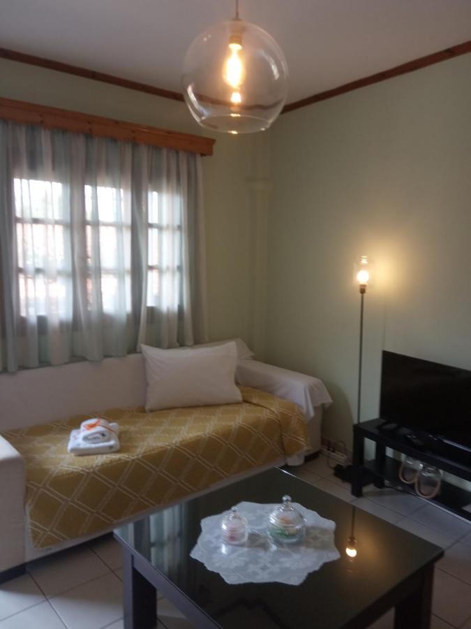 Small Town Apartment Конитса Экстерьер фото